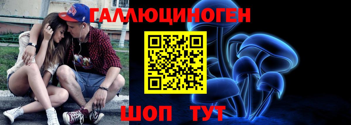 Псилоцибиновые грибы Cubensis Биробиджан